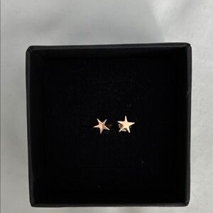 Catbird Gold Star Stud Earrings – Minimal Women’s Jewelry
